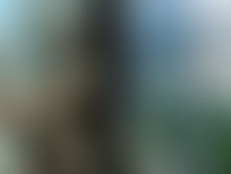 في ذكرى اليوم المشؤوم، هل وعينا الدرس؟