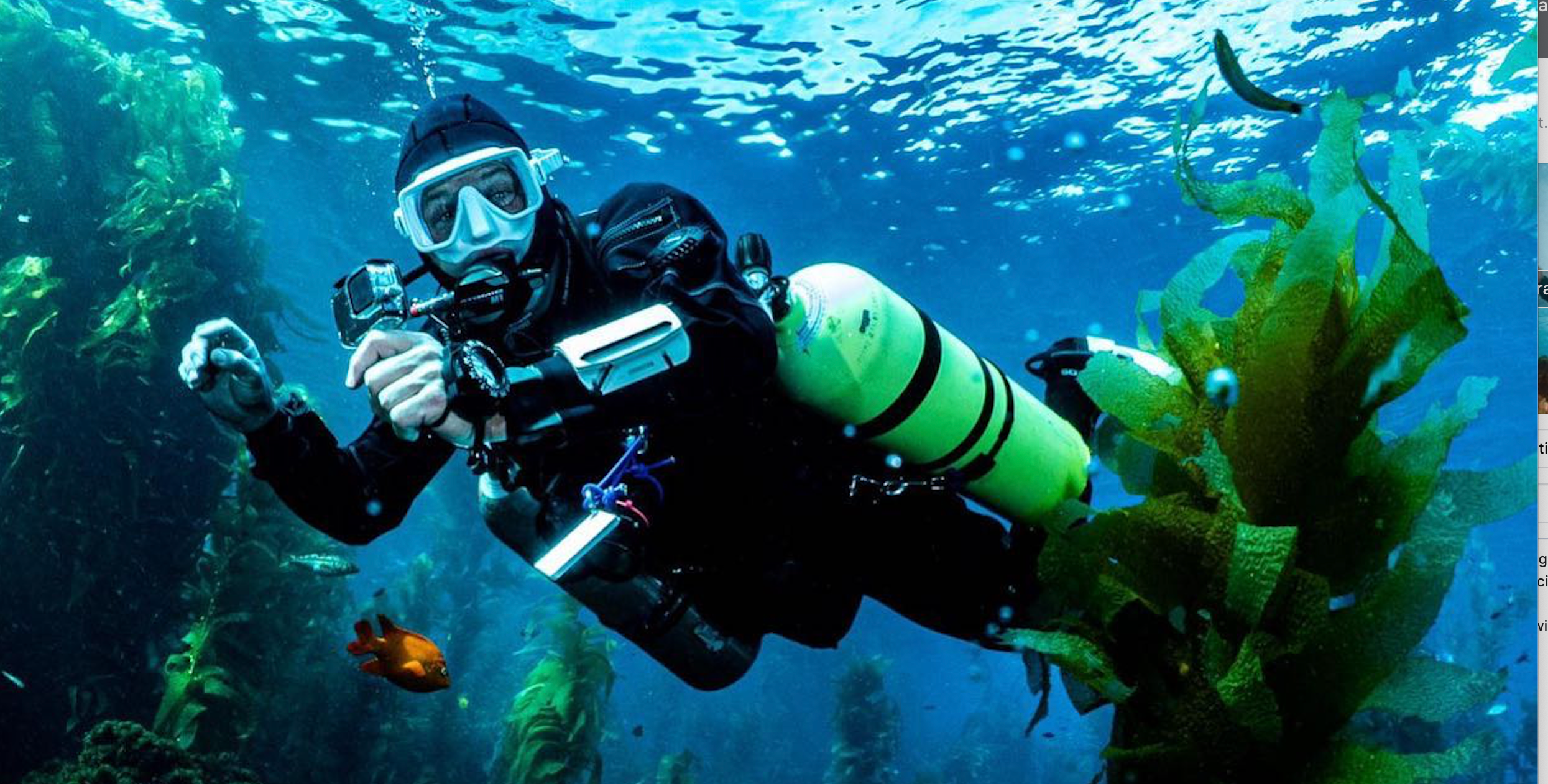 sidemount imag.webp