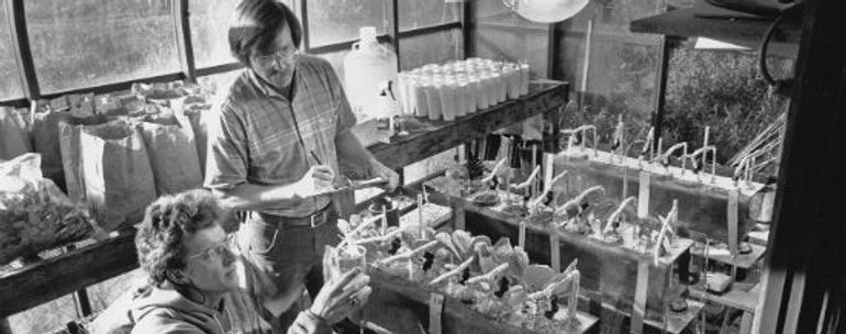 Gliessman_agroecology_lab-550.jpg