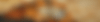 lion mosaic with gold glitter outline 01 (1000x666).gif