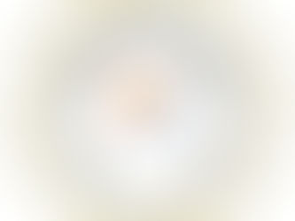 The world-tax-debtors-list 2026 for years 2022, 2023 & 2024