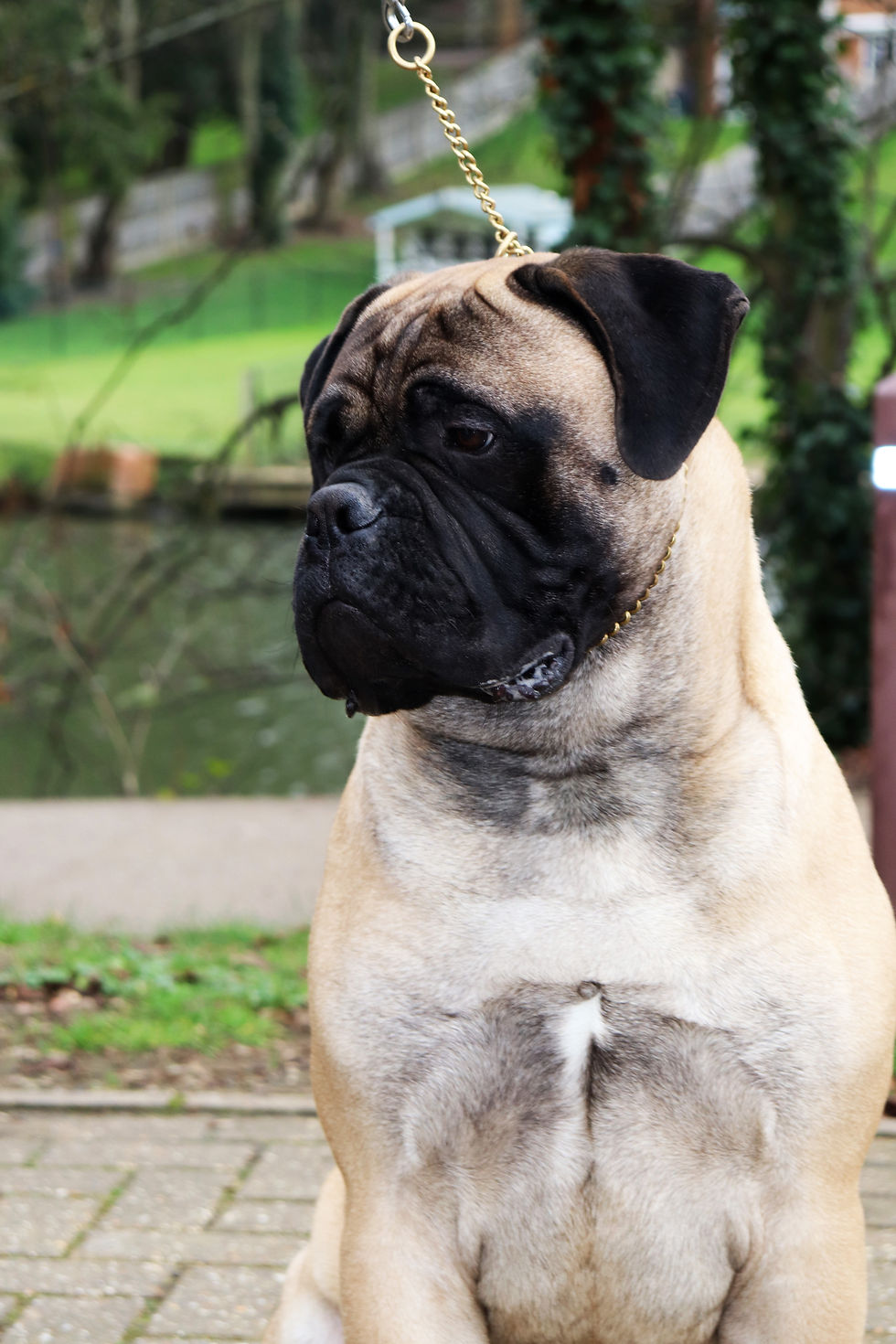rolo 10 months