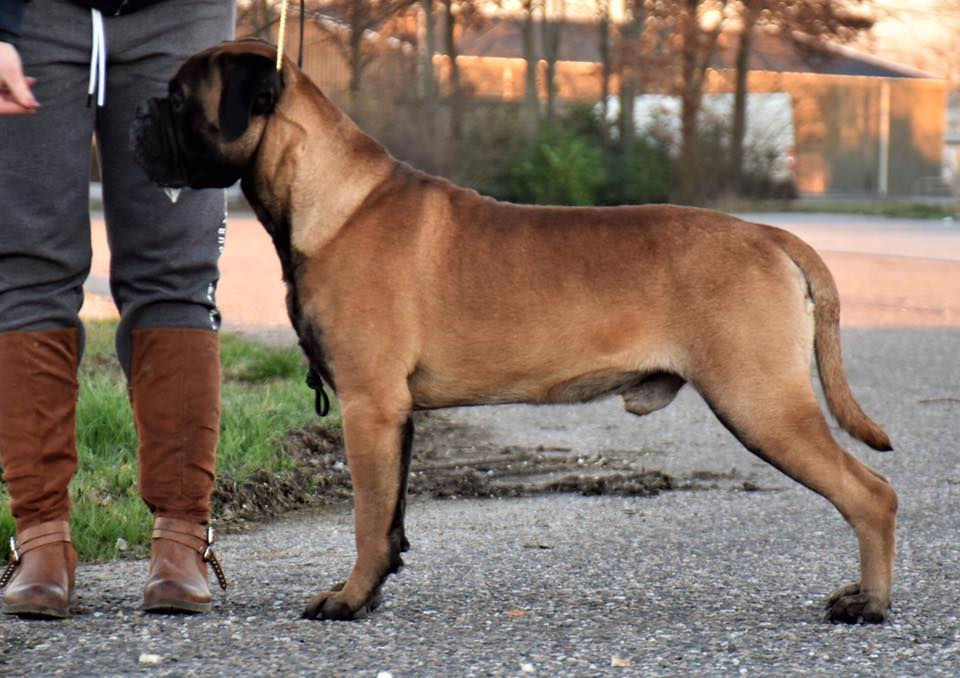 Drago 10 months