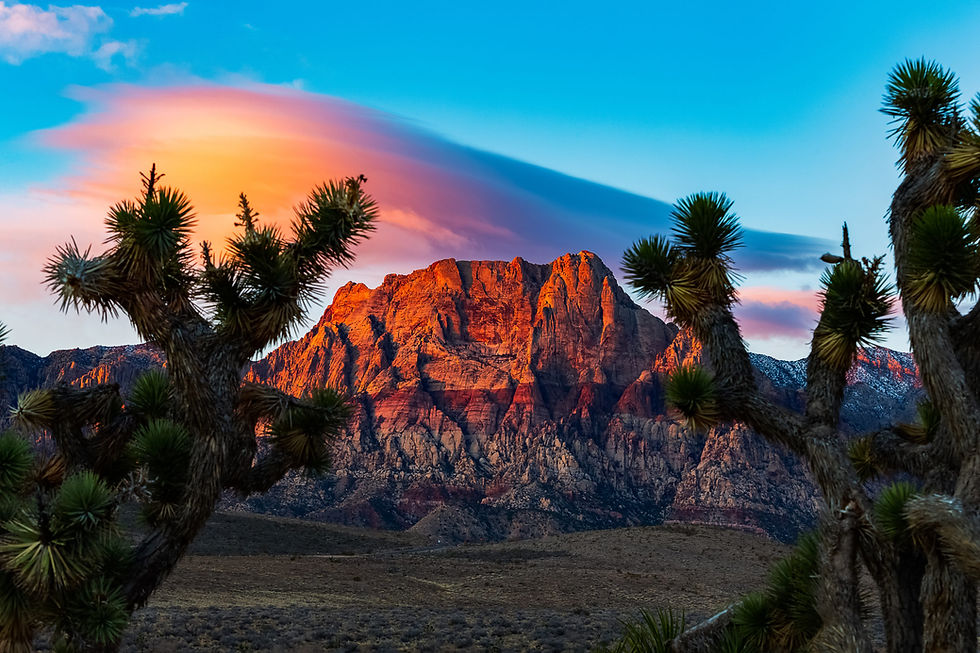 New-Mexico-scaled.jpg
