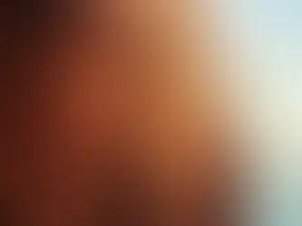 Is Your Hair Damaged or Just Dry? How to Tell the Difference