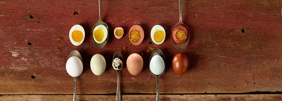 Eggs _3.jpg