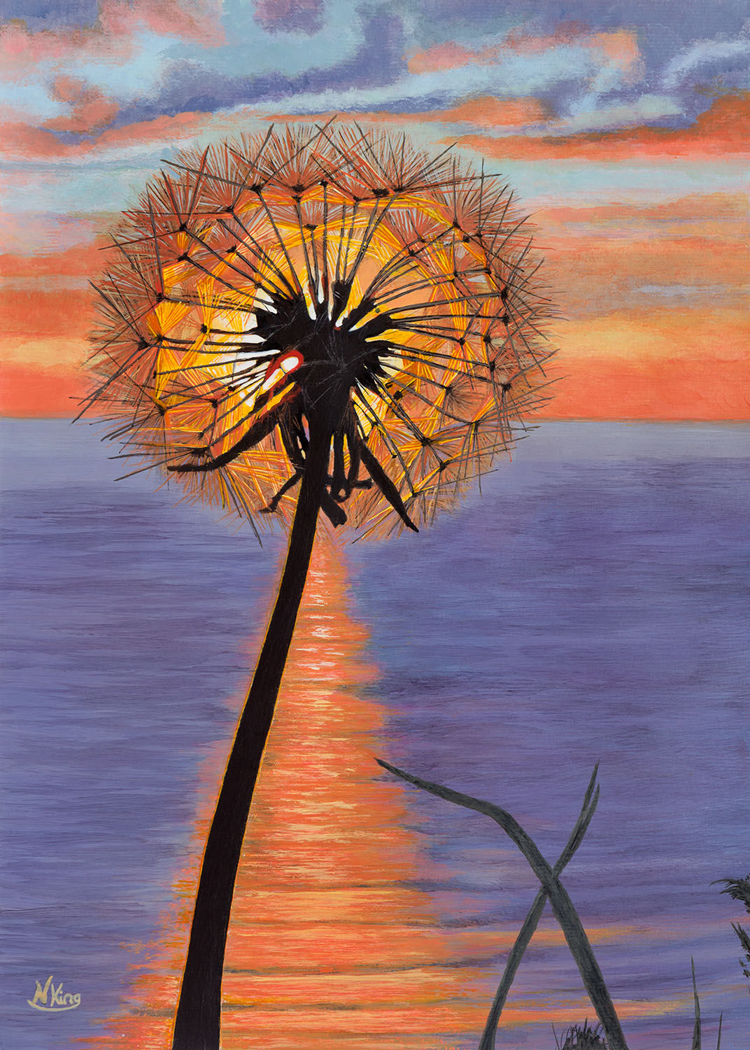 'Dandelion Sunset' Widemouth Bay, Cornwall. Art Print