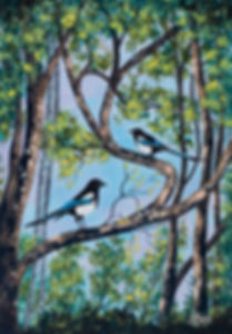 'Magpies' Art Print
