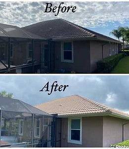 Tile Roof Cleaning