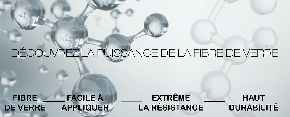 performancefrances.png