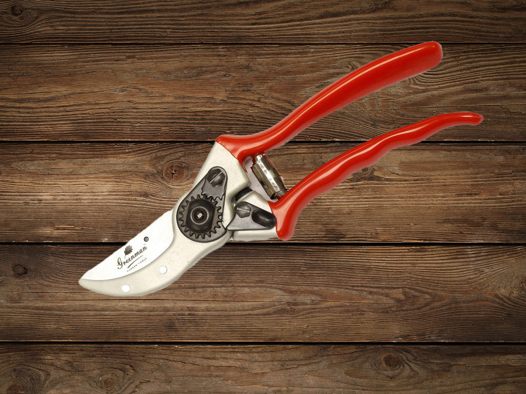 Sécateur  8 pouces 1/2