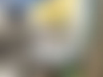 PTA広報紙コンクール入賞🏆