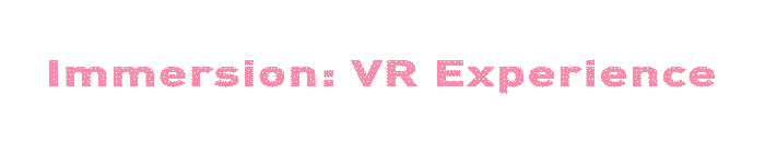 ImmersionVRExperience.gif
