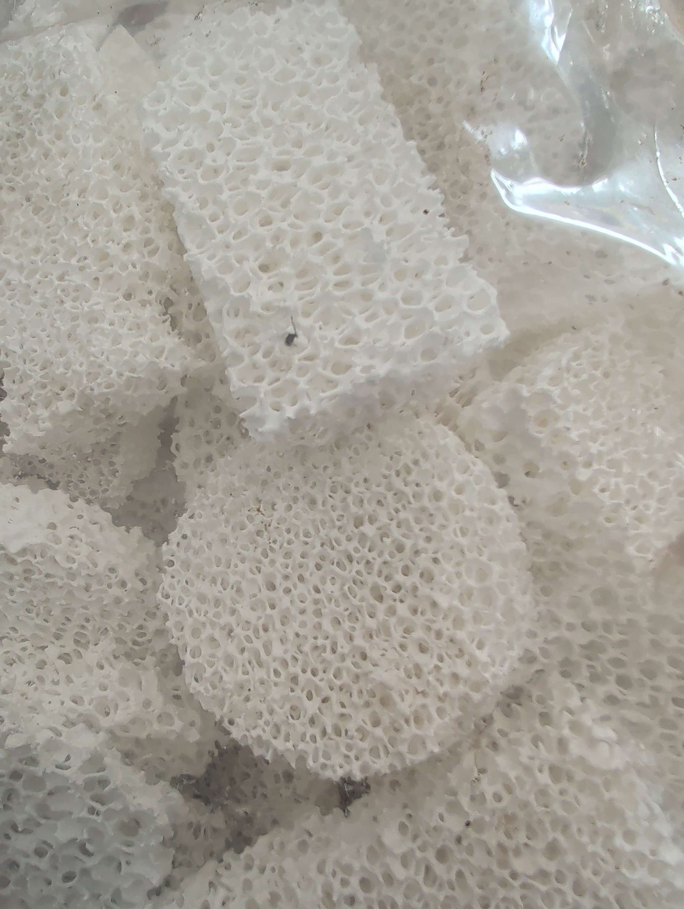 Biocerapond 60L