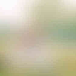 Kayla Mari Photography is a digital and film photographer based in Traverse City, Michigan.