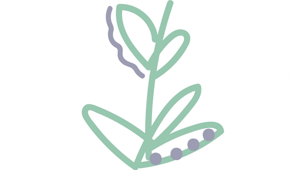 Logo Lavanda-07.png
