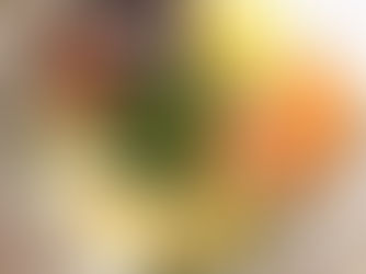 Buddha Bowl pauvre en glucides