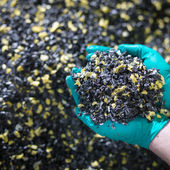 fragments de plastiques réutilisés