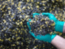 再生プラスチック