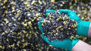 Recycling and Waste Reduction Bill 2020