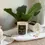 Thumbnail: Candle Nº10 Cassis Rose