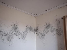 mould-corner-ceiling-Pp4-Vkci.jpg