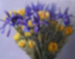 2025 irises and leucadendrons 50cmx 40cm