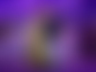 “Anything Goes” at the GOH Delivered Heart, Humour & Homegrown Pride