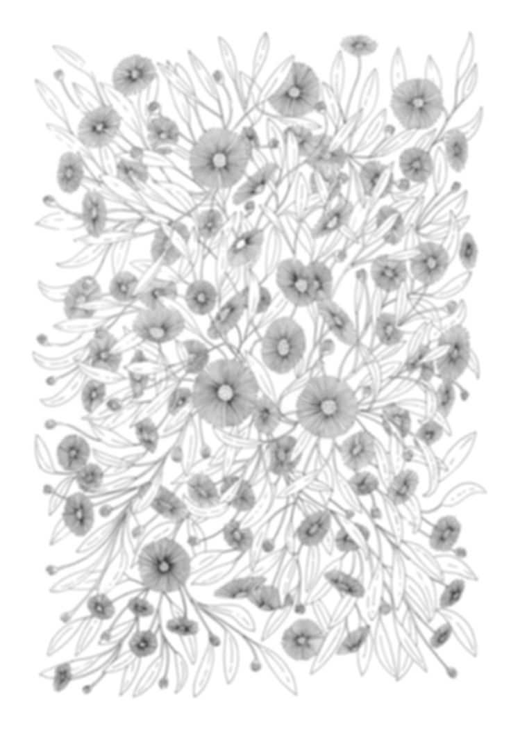 Mexican fleabane
