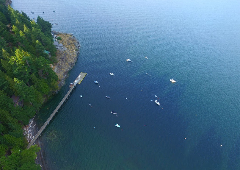 Tiny Boats.JPG.jpg