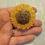 Thumbnail: 3D Sunflower Vent Mold