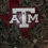 Thumbnail: Texas A & M in Texas Shape