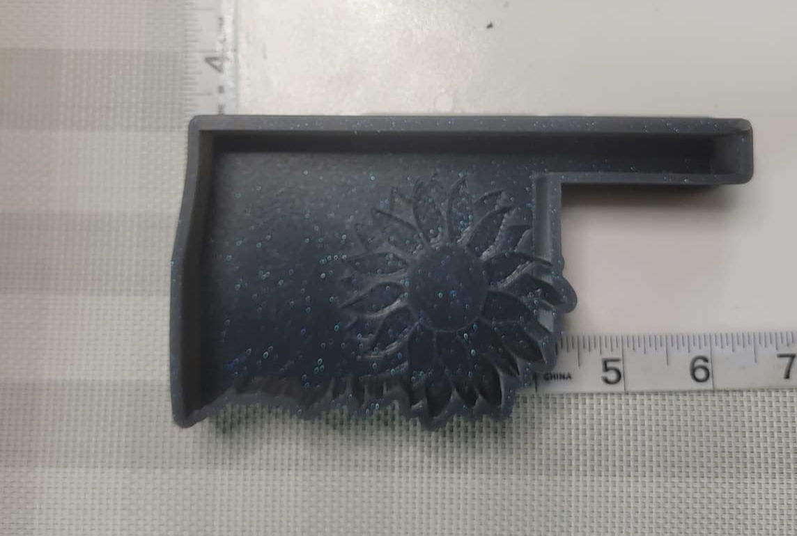 Oklahoma with Sunflower