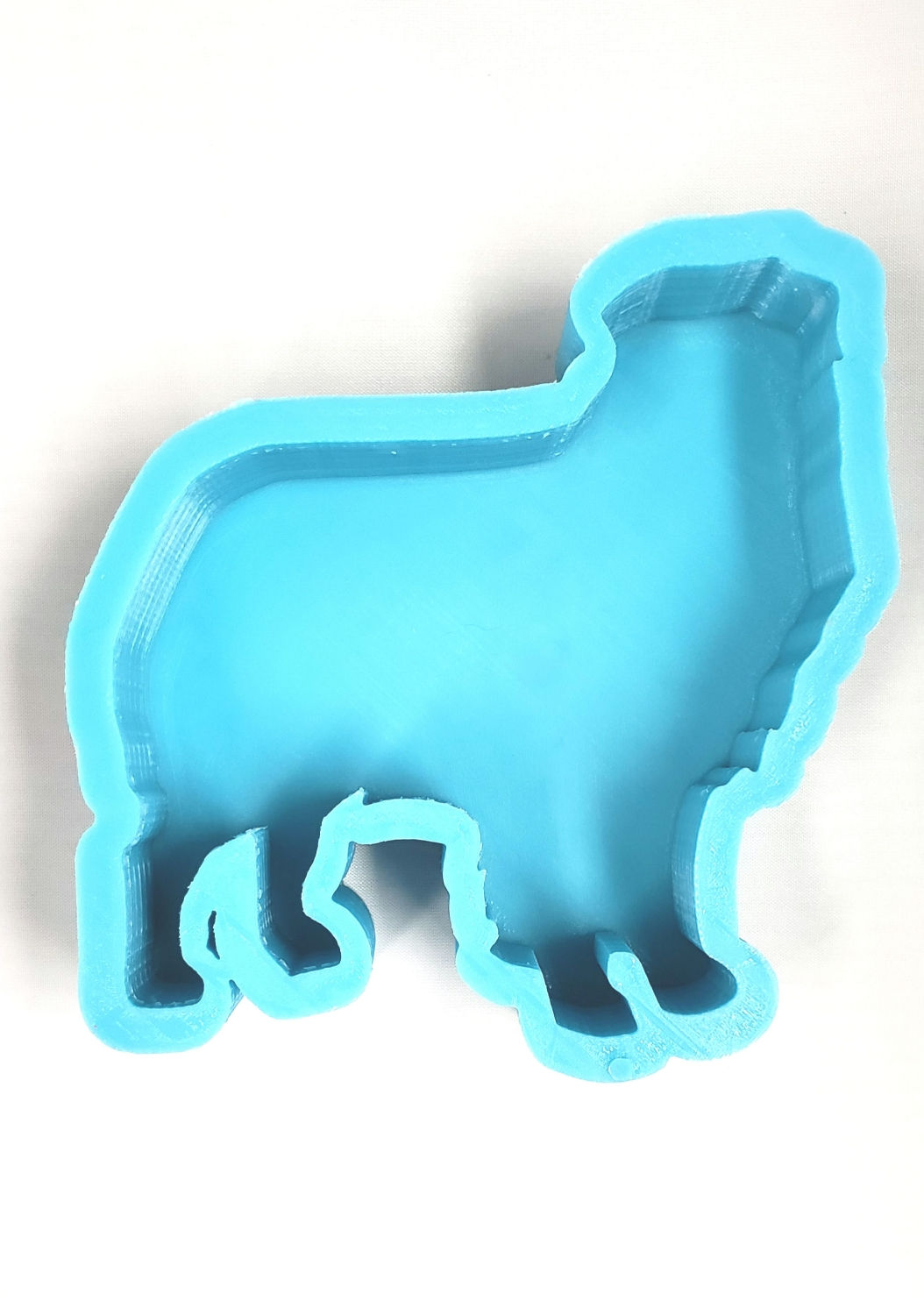 Australian Shepherd Dog