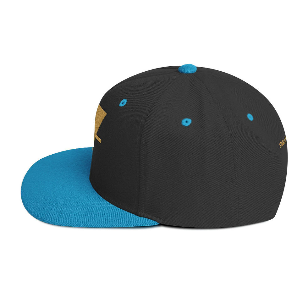 Thumbnail: Earth Element Snapback Hat