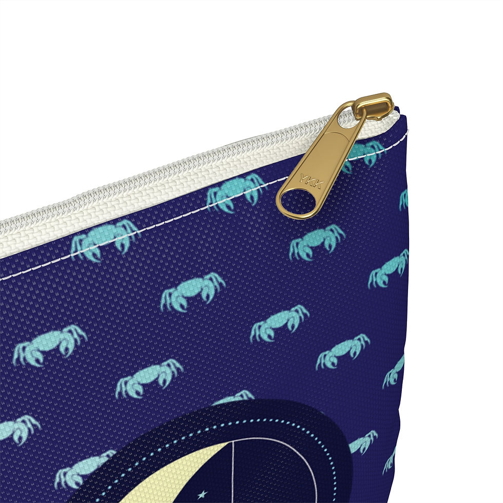 Thumbnail: Cancer Accessory Pouch