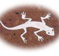 lizard.jpg
