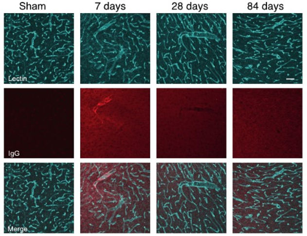 Screenshot 2024-07-29 202126.jpg