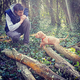 Four in person 1-2-1