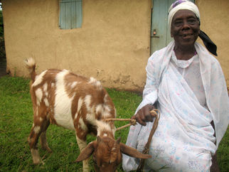 FIGHTING HUNGER AND POVERTY THROUGH REVOLVING LIVESTOCK