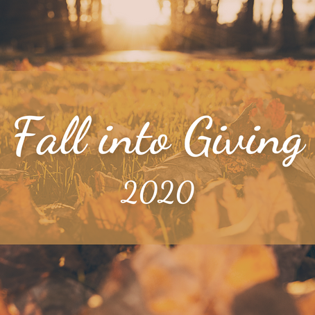 Fall Into Giving Campaign