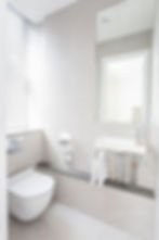 Ensuite WC