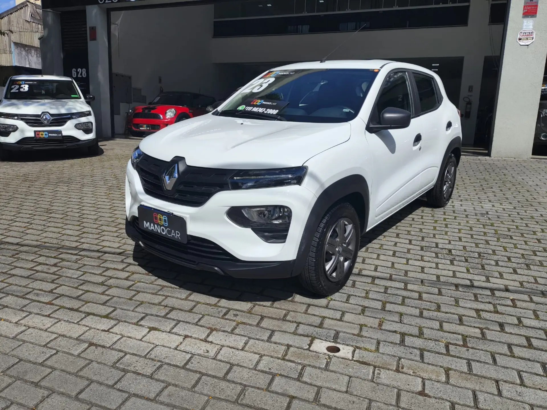 RENAULT KWID 1.0 12V SCE FLEX ZEN MANUAL