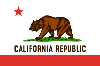 california bay area flag with bear