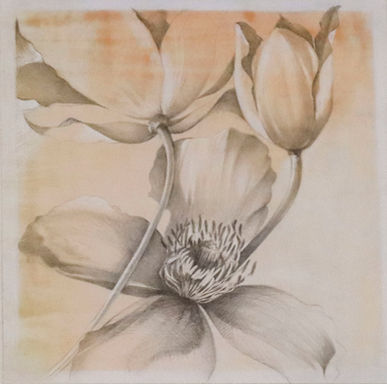 susan manchester.jpg