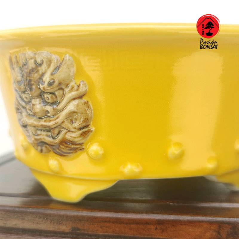 Miniatura: YIXING AMARILLA