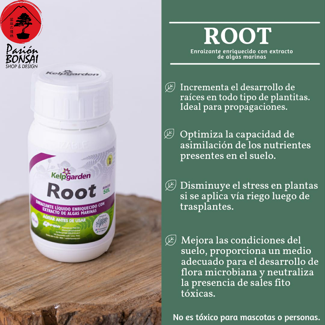ROOT