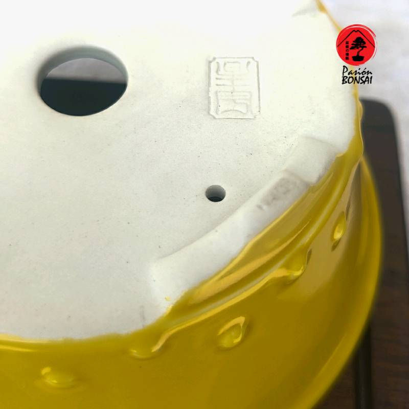 Miniatura: YIXING AMARILLA