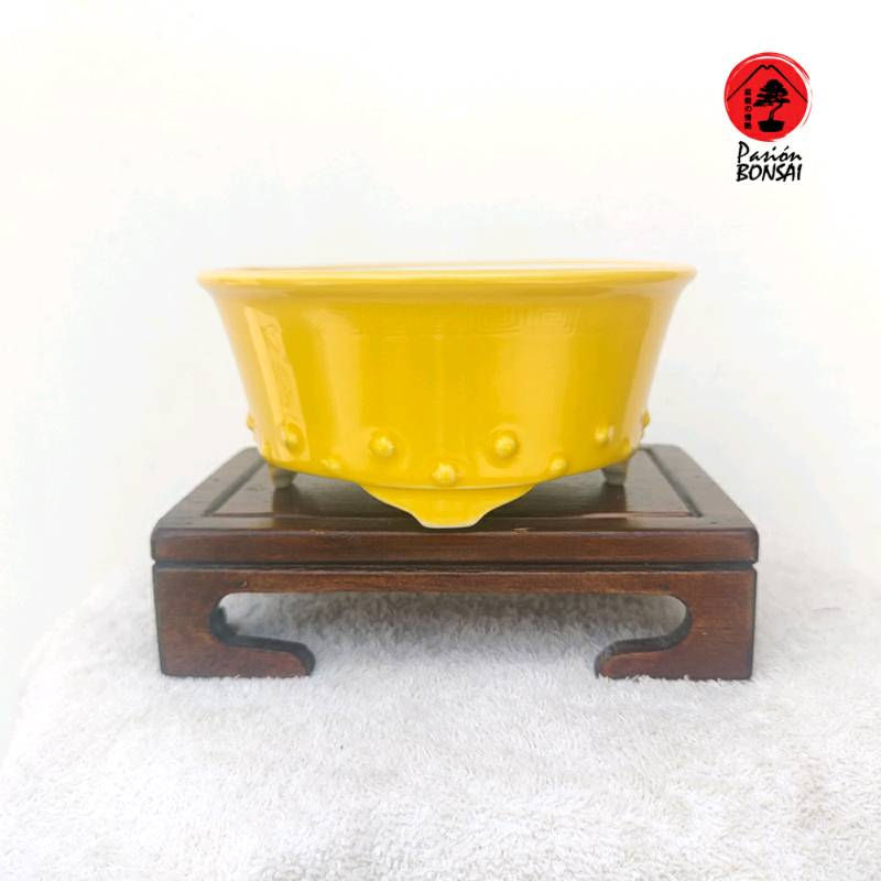 Miniatura: YIXING AMARILLA