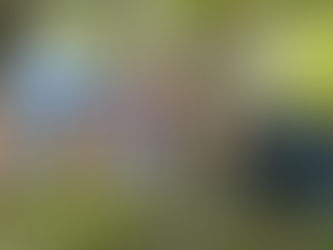 How You Can Improve Your Admitted Student Events